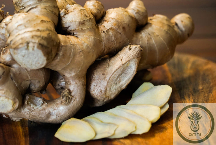 GINGER